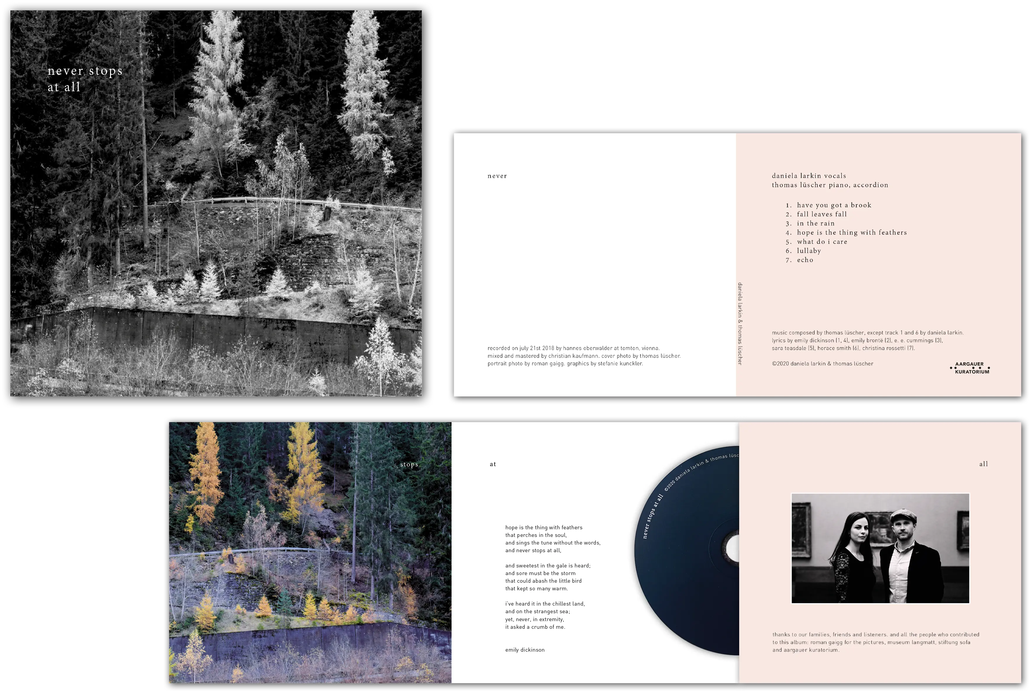 Music Album CD Artwork - Larkin Lüscher