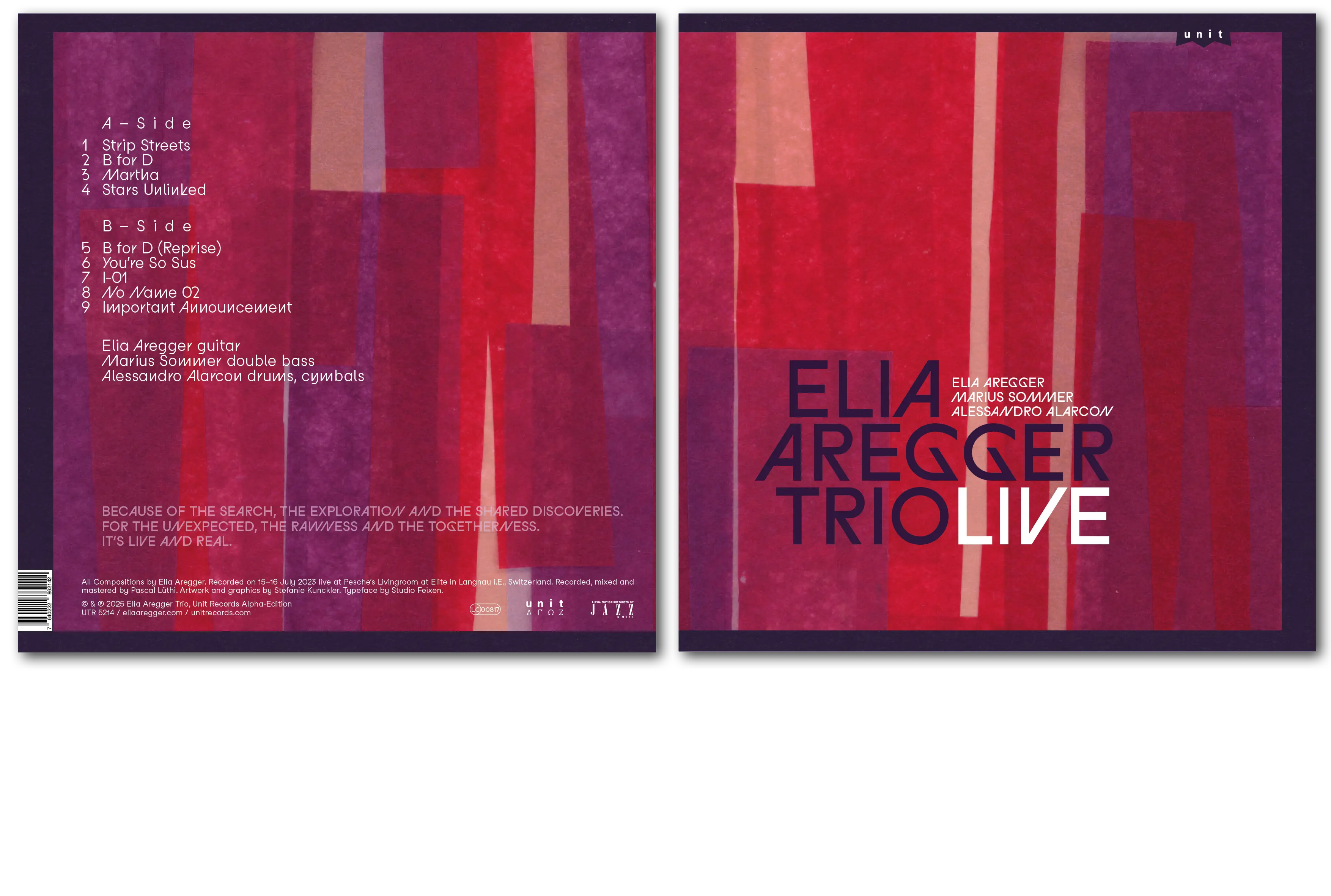 Music Album Vinyl Artwork - Elia Aregger